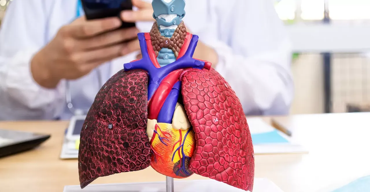 respiratory syncytial virus (rsv).png respiratory syncytial virus (rsv).png