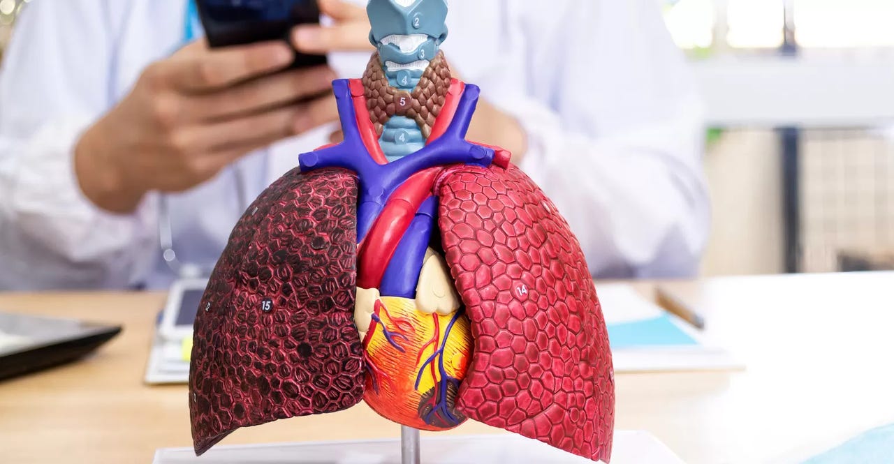 respiratory syncytial virus (rsv).png respiratory syncytial virus (rsv).png