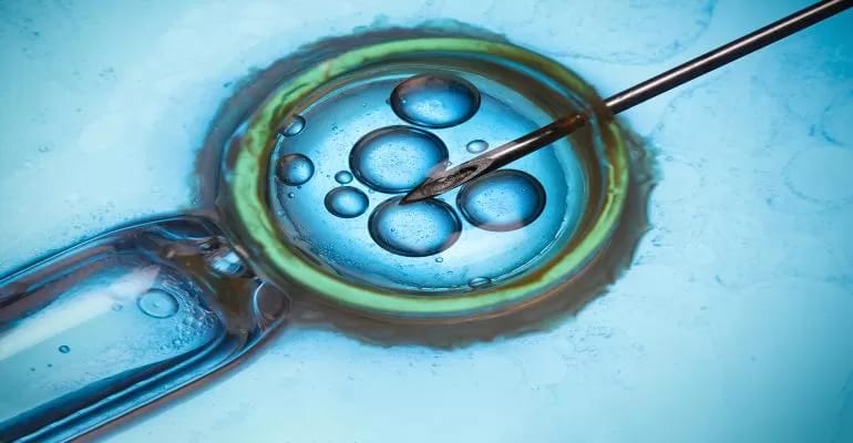 IVF.jpg IVF.jpg