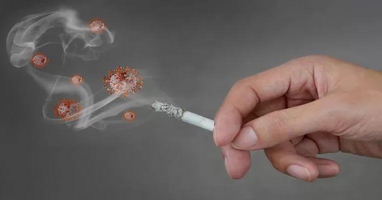 tobacco store for sale Smoke Shops For Sale tobacco store for sale Smoke Shops For Sale