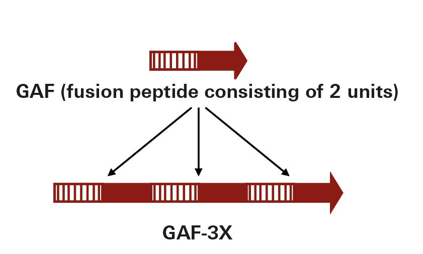 Fig_2_GAF-3X.jpg Fig_2_GAF-3X.jpg