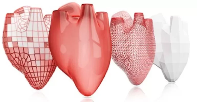 3D printed heart images 3D printed heart images