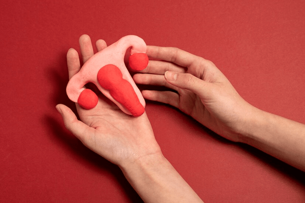 Woman holding a uterus model