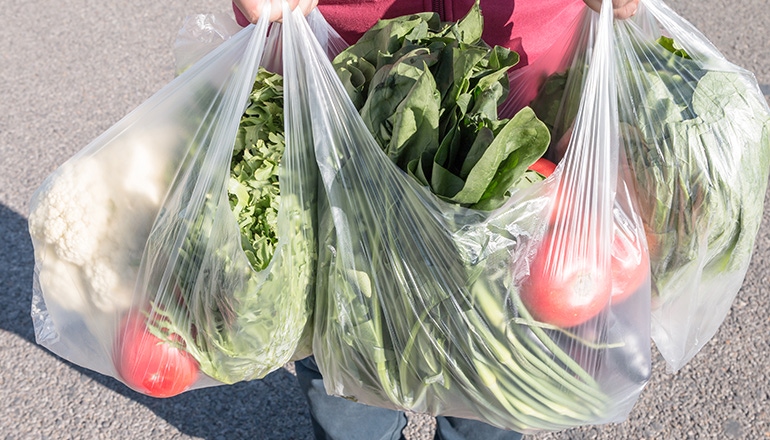 Nova Scotia, Canada, to Ban Plastic Bags