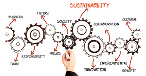 sustainabilitybizfeat.png