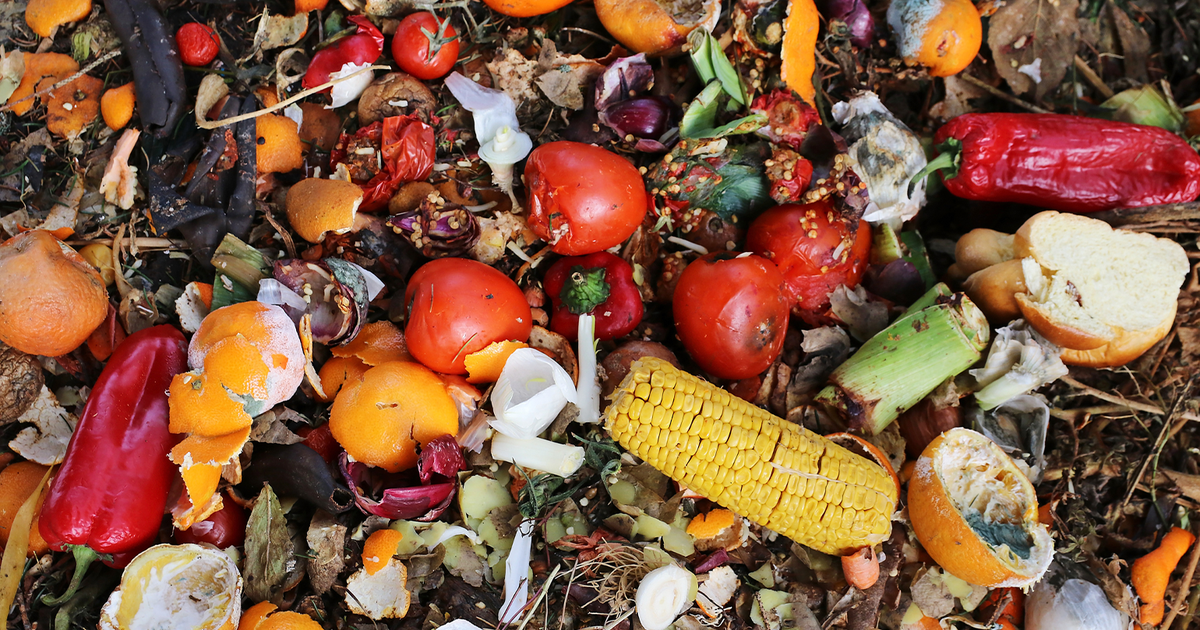EPA Recognizes Pacific Northwest Food Waste Reducers and Recyclers