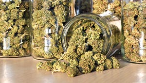 Micron Waste Receives Health Canada Cannabis Research License