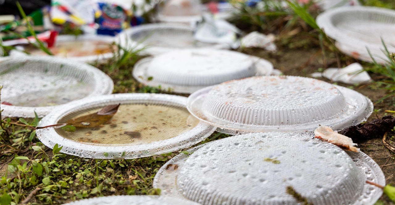 biodegradable biodegradable