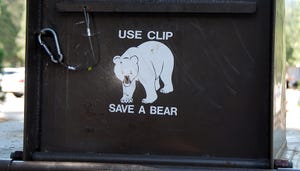 Colorado Springs, Colo., Prepares for Bear Trash Ordinance 