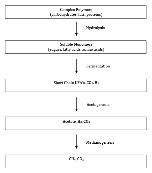 Complex-Polymers-chart.png