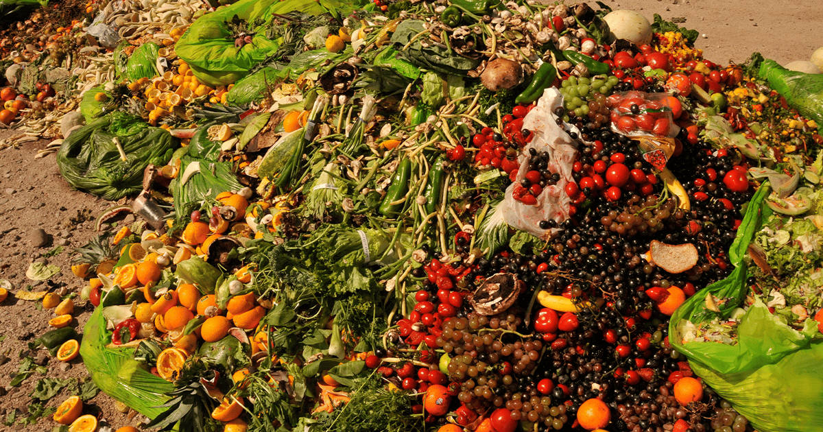 Walmart Picks Up Denali's Compost Made from Food Waste