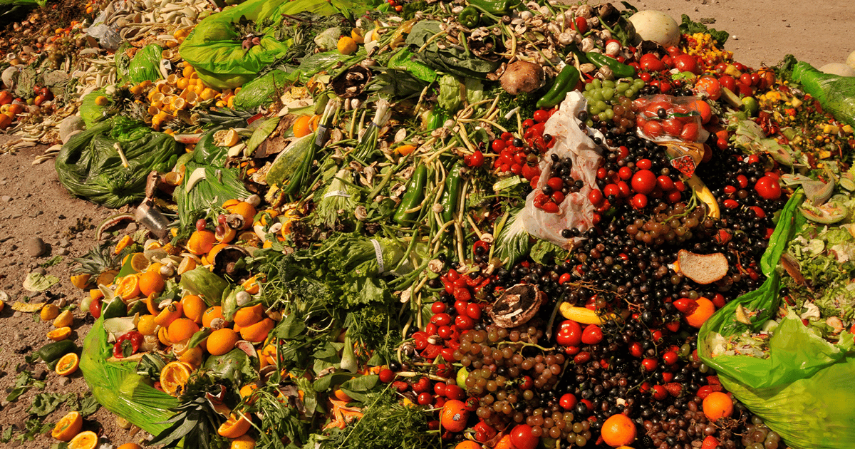 Composted Food Walmart Picks Up Denali's Compost Made from Food Waste