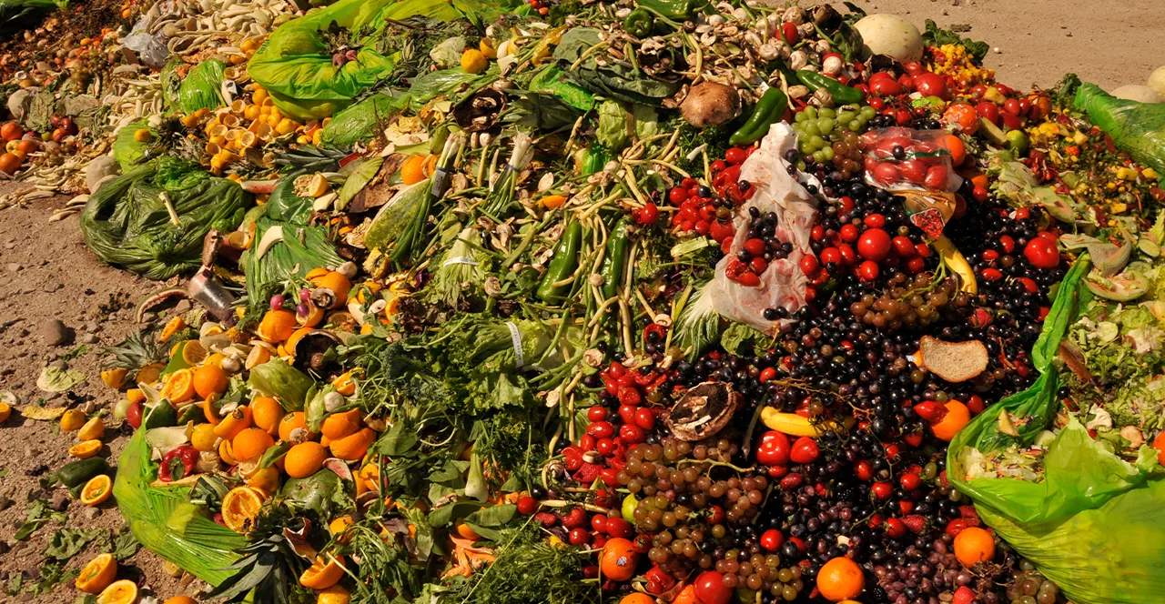 Compostul Walmart Picks Up Denali's Compost Made from Food Waste