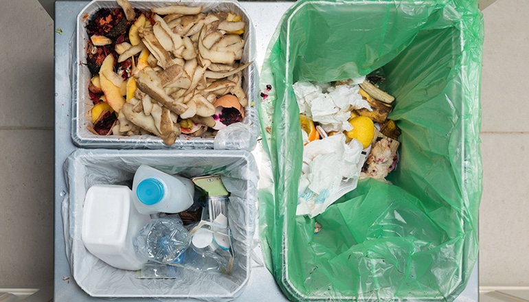 food-waste-bins.jpg