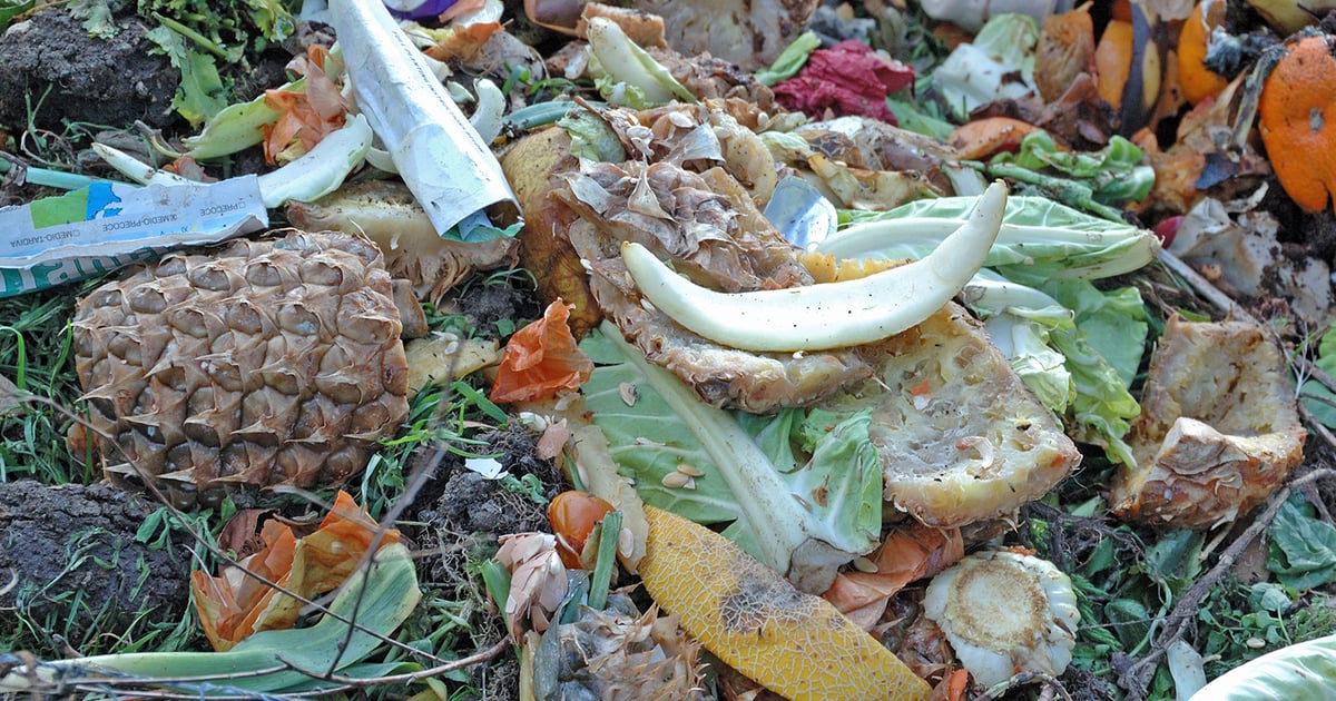 Philadelphia Company Partners with City on Community Composting Site
