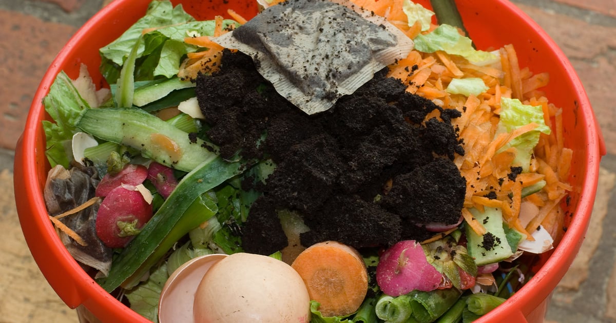 Chicago Residents Compost 295 Tons of Food Waste Following Citywide Program