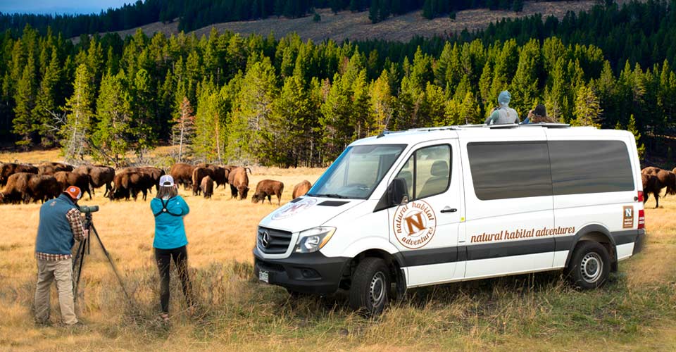 Nat Hab’s Zero Waste Safari In Yellowstone Marks Industry First