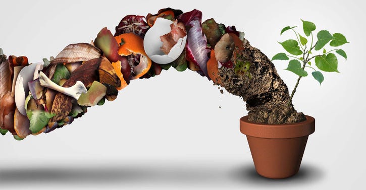 Compost and composting symbol life cycle symbol and an organic recycling stage system concept as a pile of rotting food scraps with soil resulting in a ecological success with a sapling growing in a pot with 3D illustration elements..