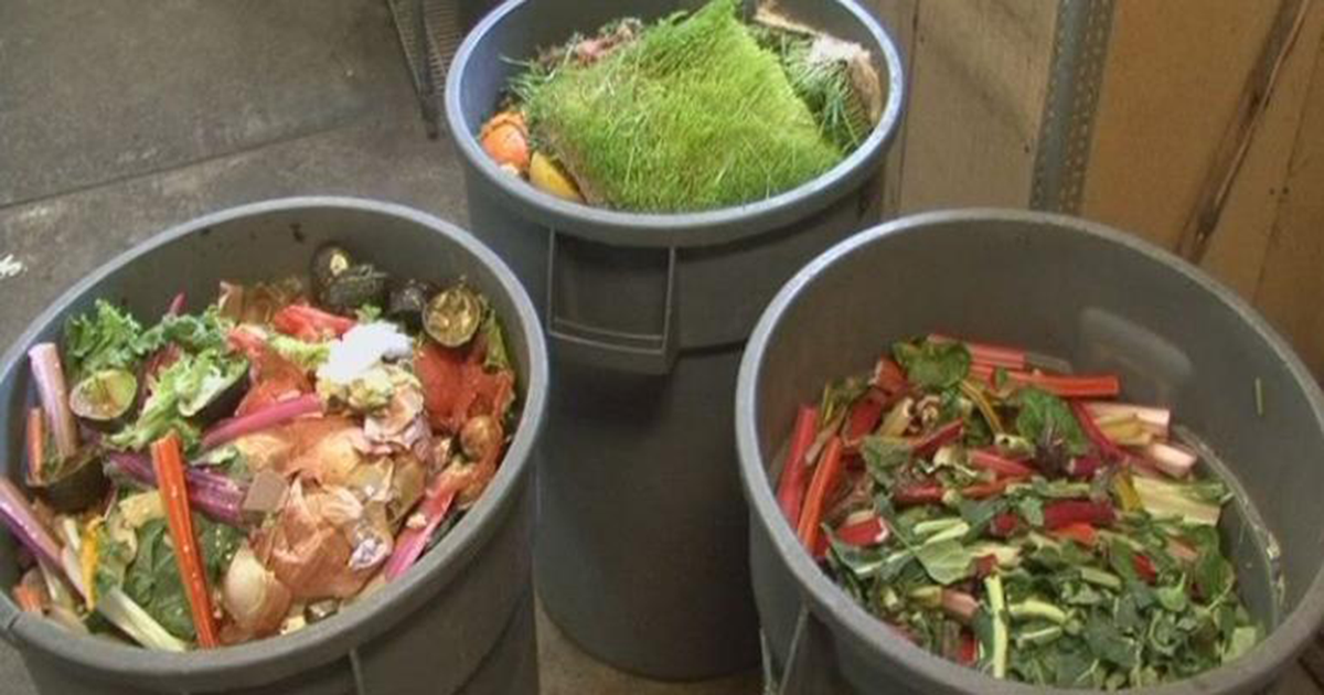 Minneapolis' Composting Success Story
