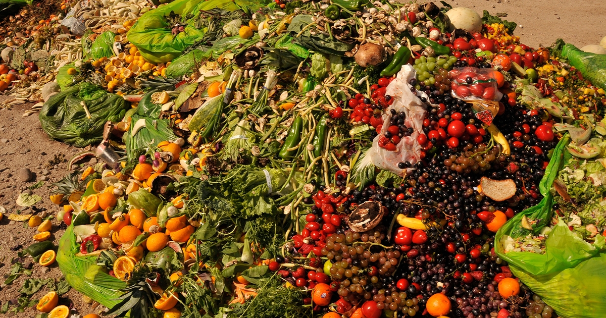 What Causes Compost Fires: Knowing the Conditions