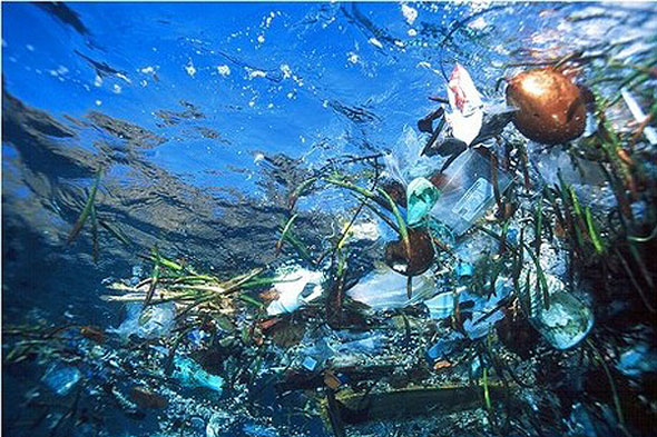 Lindblad Expeditions-National Geographic Eliminates Single-use Plastic Fleetwide