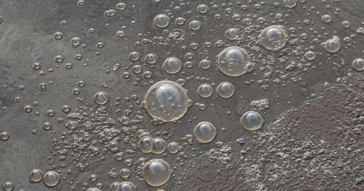Veolia North America Upgrades Richmond, Calif. Wastewater Treatment Plant