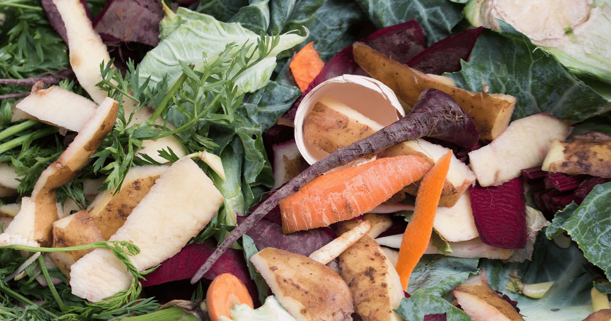 ECONWARD’s Counterplan for Landfill-Bound Organics