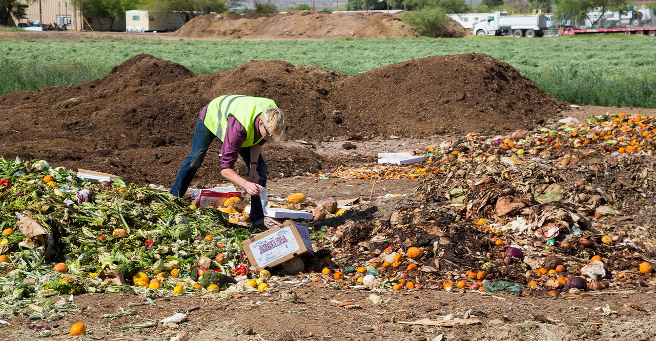 Composting Consortium Releases Compostable Packaging Research