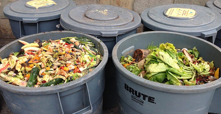 food scrap bins