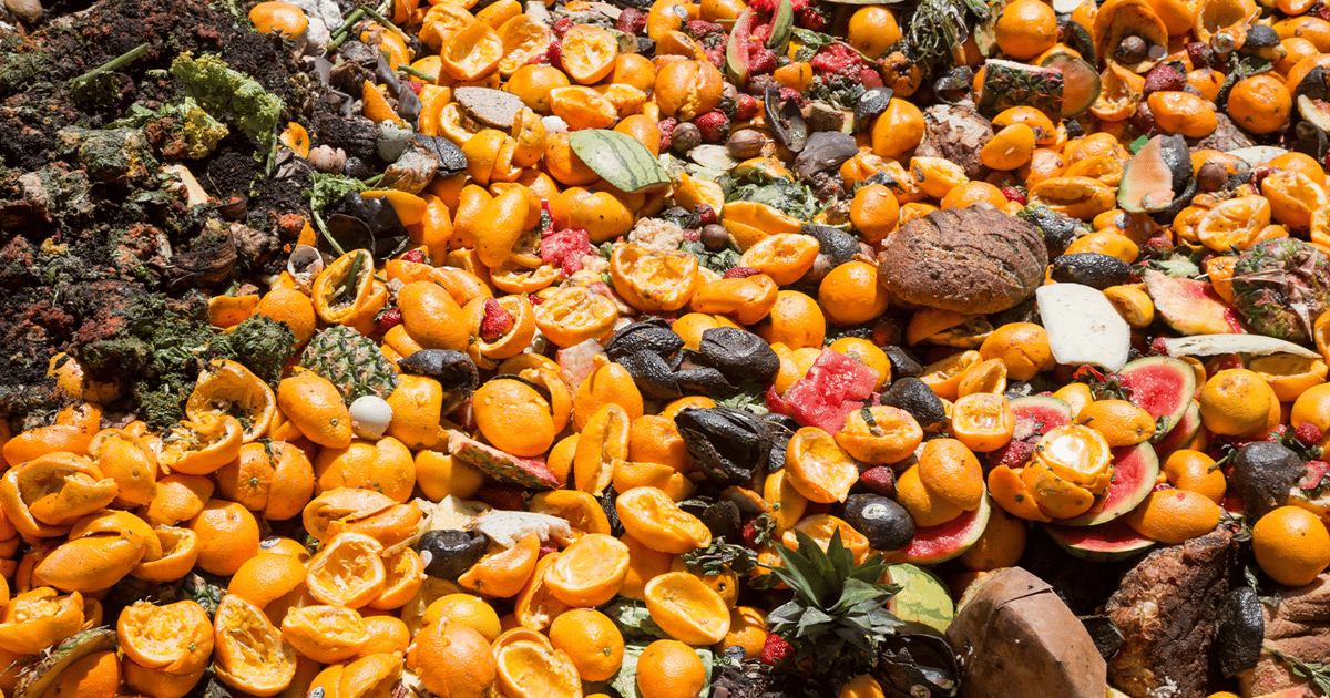 How Food Waste Generators and Supply Chain Partners Can Shape ...