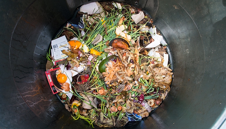 food-waste-bin.jpg