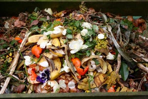 Case Studies of Successful Composting Programs, Solutions for Multiple Feedstocks, Industry Issues