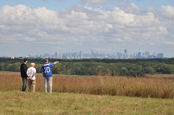 The view from Fresh Kills Park.