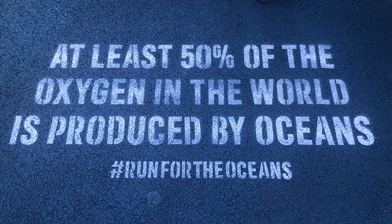 run for ocean 2019