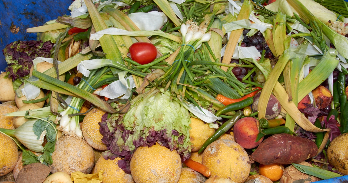 Food Waste Company Divert Preparing for 1 Billion Expansion