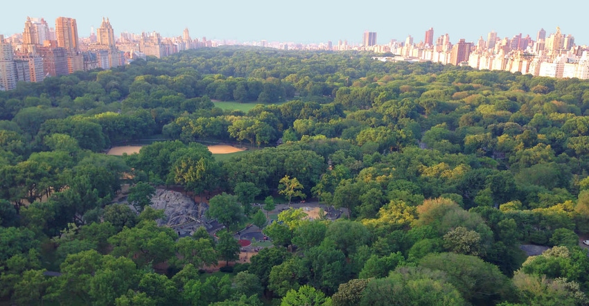 Central Park Conservancy to Utilize Fume-Free Electric Carts for Collection