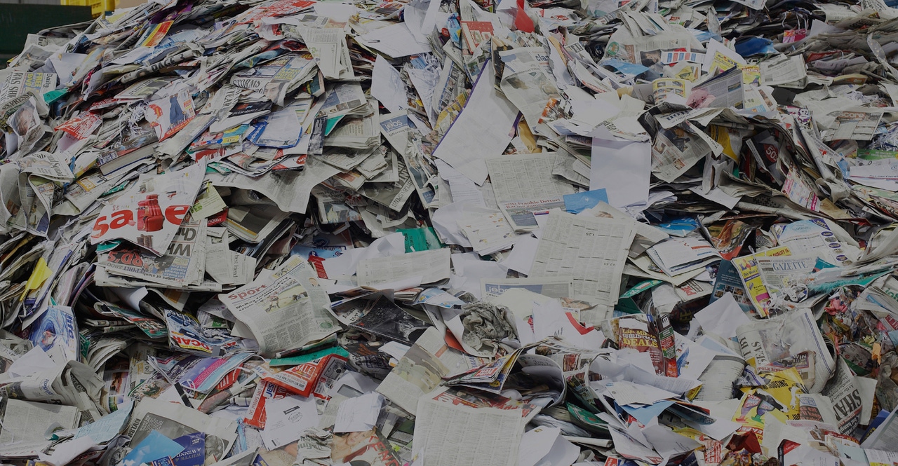 CP Group_White PAper.png CP Group_White PAper.png