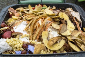 SPOTLIGHT SESSION: Reducing Food Waste and Increasing Organics Diversion and Recovery in Municipal Programs (Part I)
