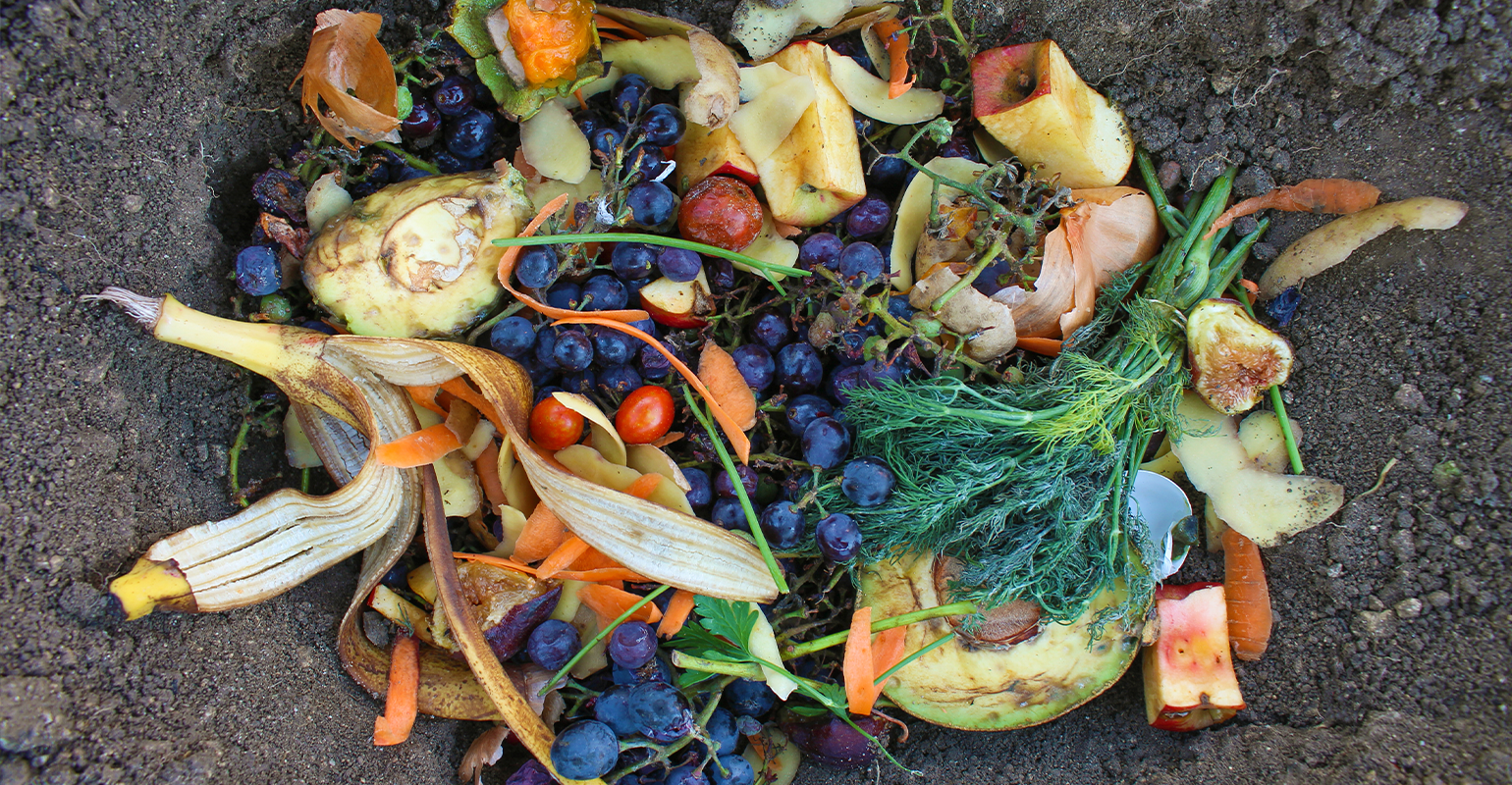 How a Food Waste Separator Makes Disposing of Leftover Food Easier