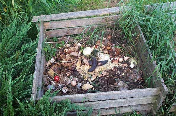Law Aims to Increase Composting in Illinois