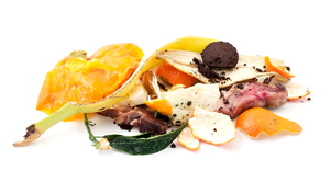 foodwaste_food_waste_on_white_Background_1540x800.png