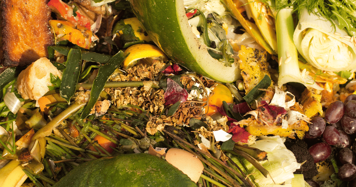 Food Scrap Collection Strategies and Programs for Residential ...