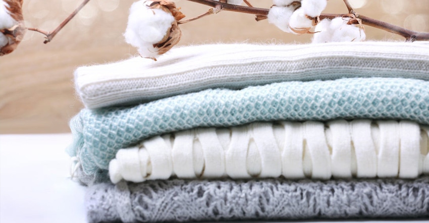 The Work Week ~ 5 Organic Cotton Underwear – KENT