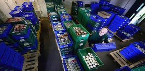 New Models to Feed the Hungry While Tackling Food Waste