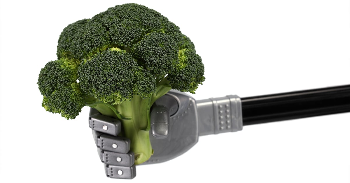Using Technology and Data to Drive Food Waste Prevention