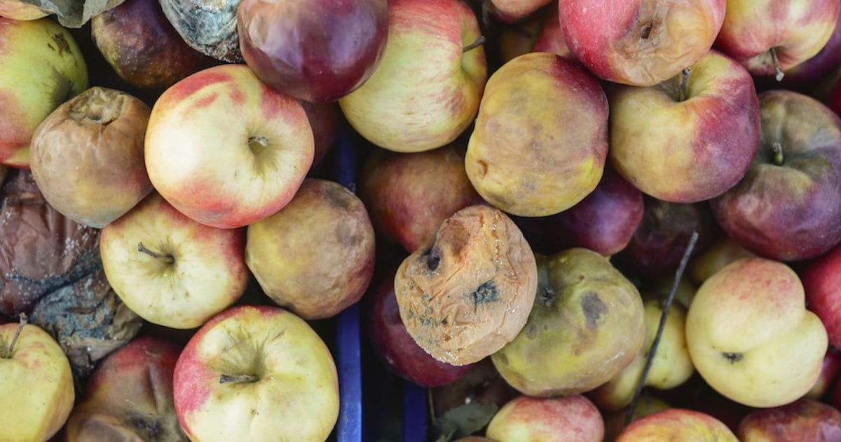 Restaurants Lose $162 Billion To Food Waste, New Report Finds