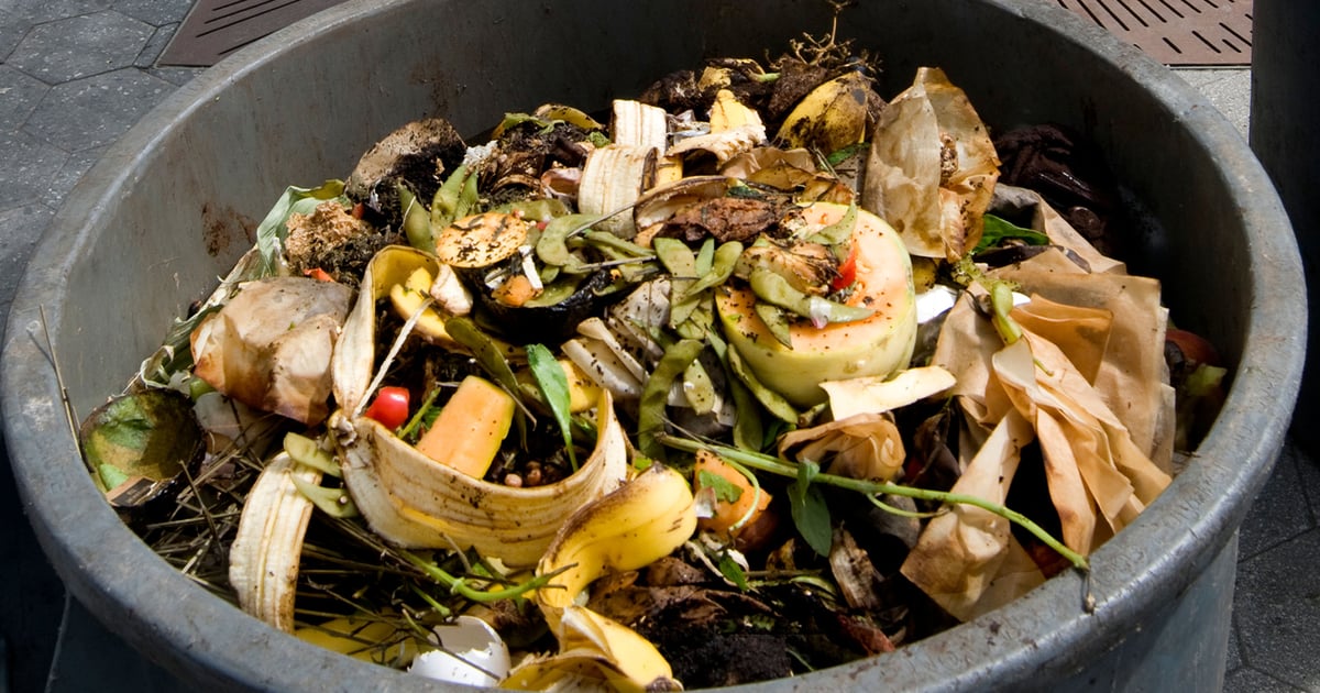 Newton Will Conduct Spot Checks for Food Waste in Normal Garbage Bins