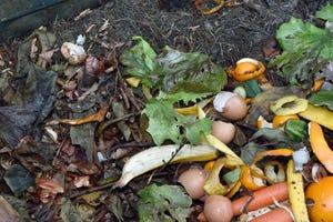 Successful Composting Through Planning: Site Selection, Facility Sizing, Dealing with Contaminants