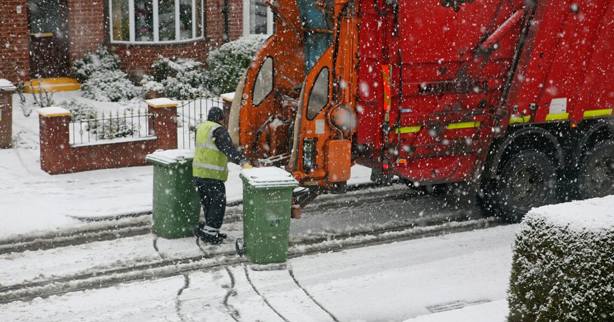 Recycling Spring Weather Tackling Winter Storm Fern Cleanup