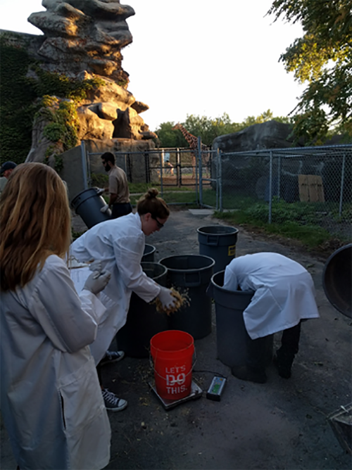 How Detroit Zoo is Converting Manure, Food Scraps to Energy